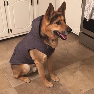 Meet your Posher, Jose